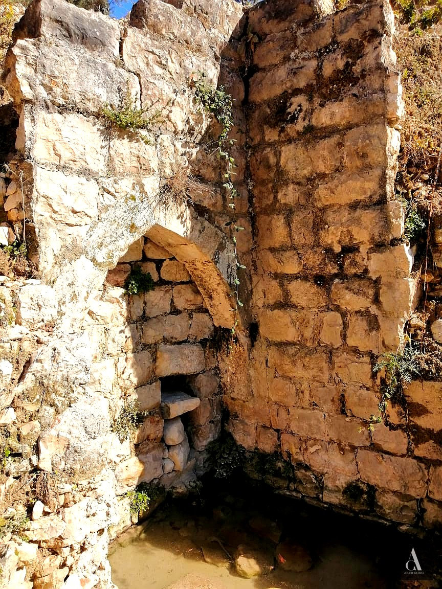 Site Survey — Vaulted Arch Detail